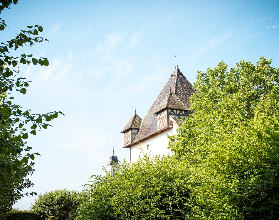 arts de vivre chateau de pizay