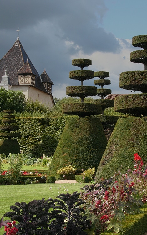 jardins et chateau pizay
