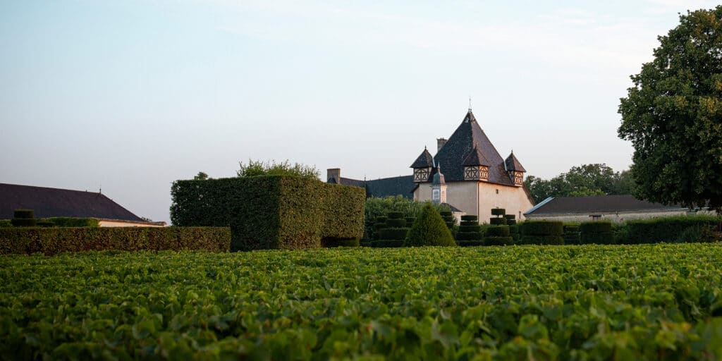 chateau vue vignes pizay