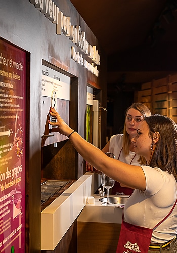 découverte vins chateau de pizay