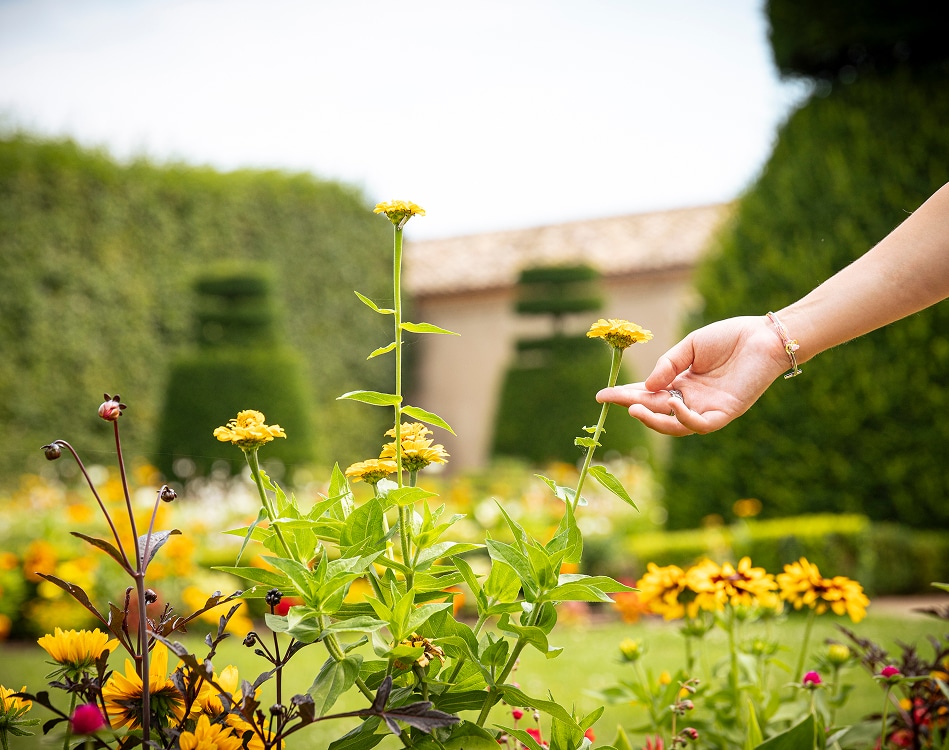 jardins fleuris chateau de pizay